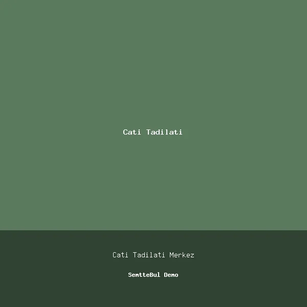 Star Çatı Tadilatı