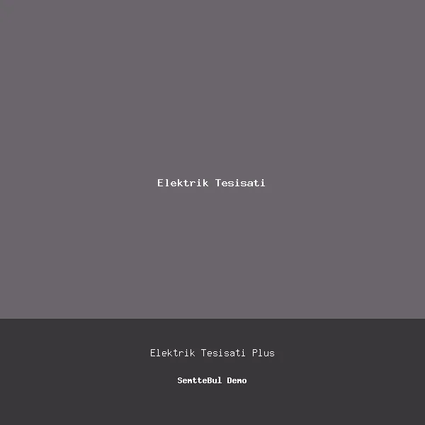 Usta Elektrik Tesisatı