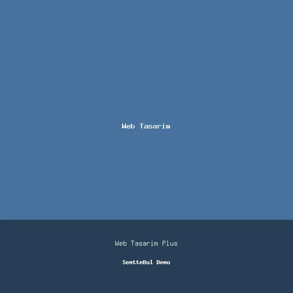 Usta Web Tasarım